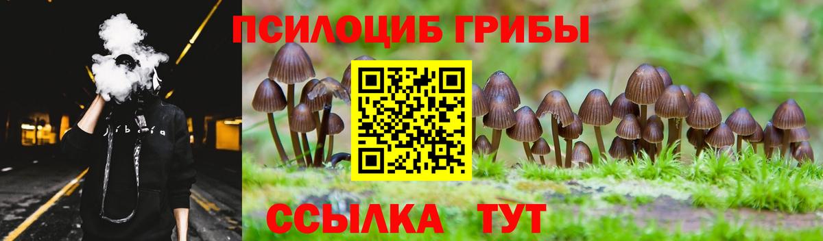 Фрязино  Псилоцибиновые грибы Magic Shrooms  Псилоцибиновые грибы ЛСД  Вход с VPN 